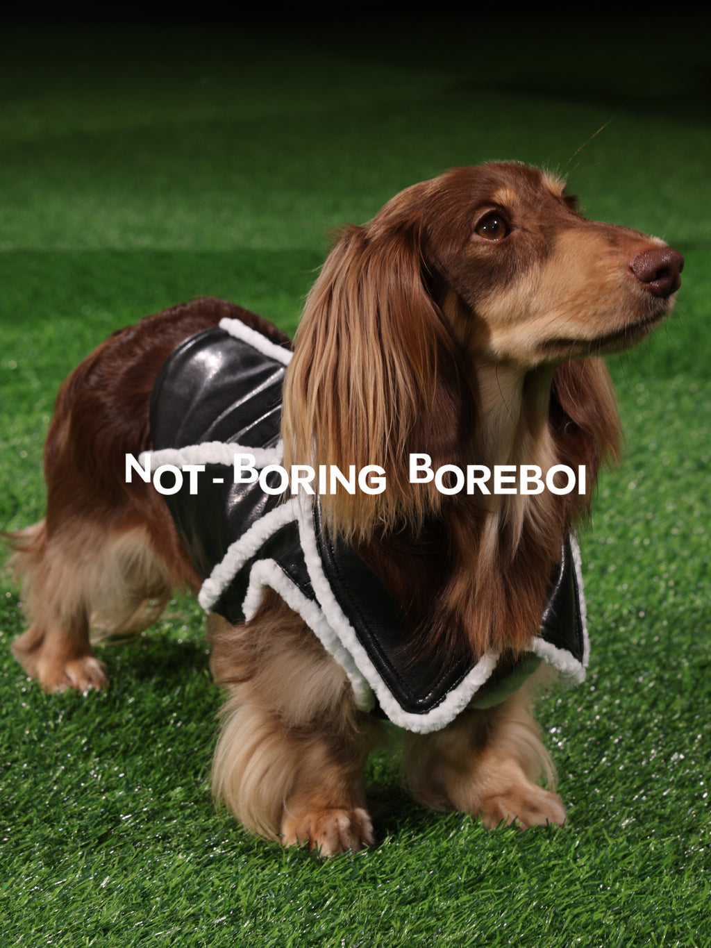 Pilot-Style Pet Pu Leather Jacket