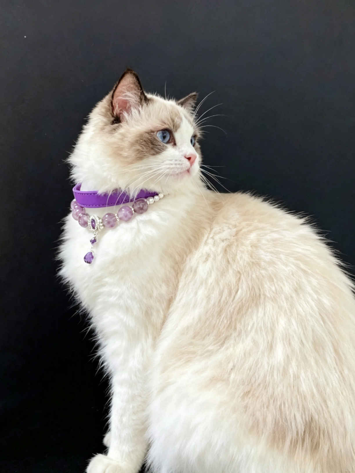 Purple Enchantress Pet Necklace