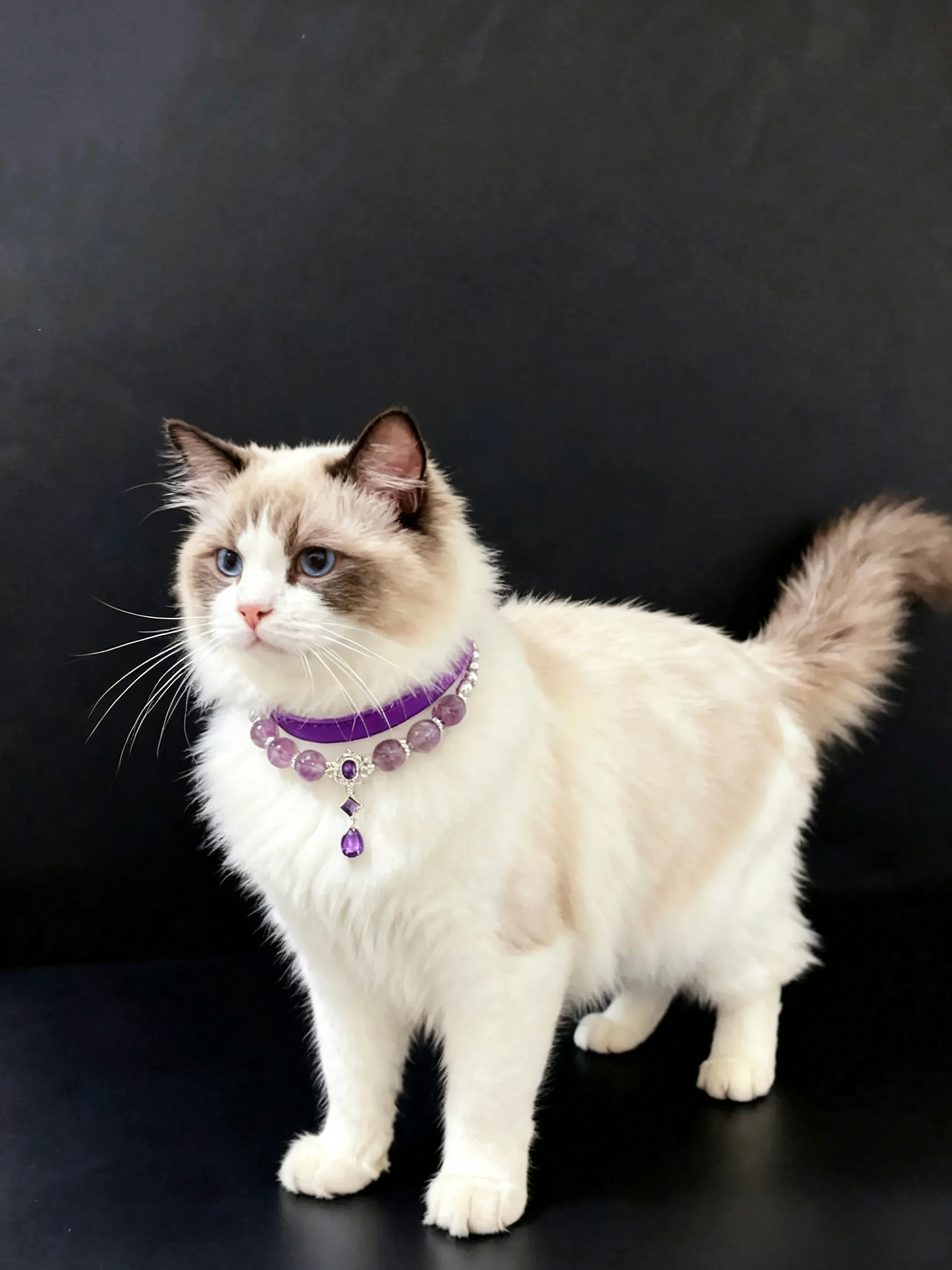 Purple Enchantress Pet Necklace