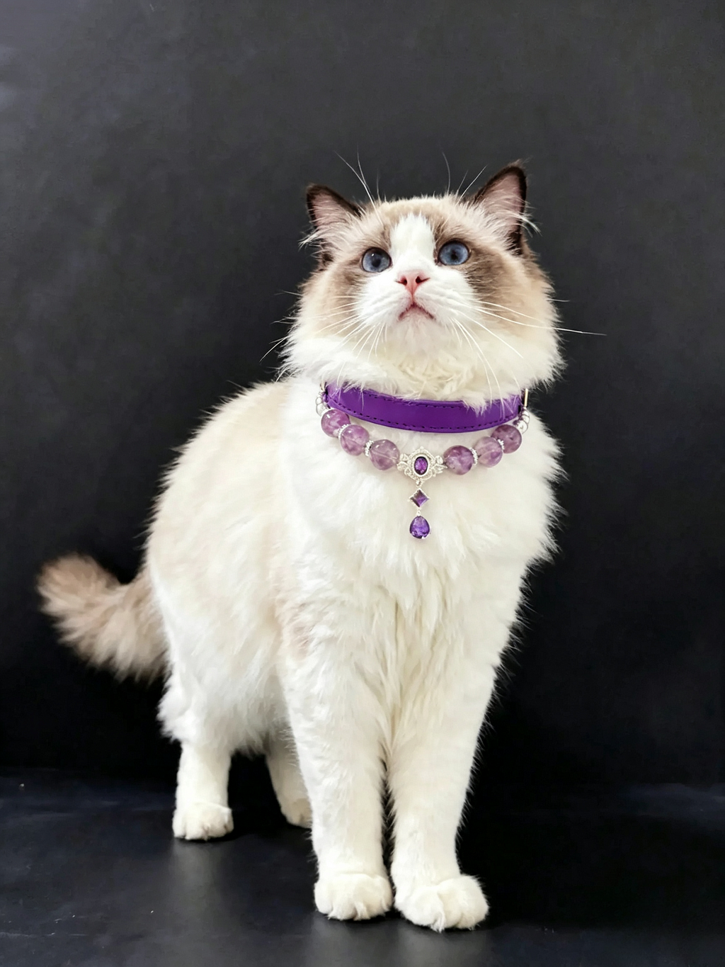 Purple Enchantress Pet Necklace