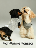 Sequined Denim Collared Pet Jacket