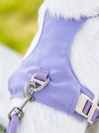 Small Dog Harness Leash