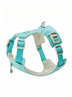 Small Dog Harness Leash