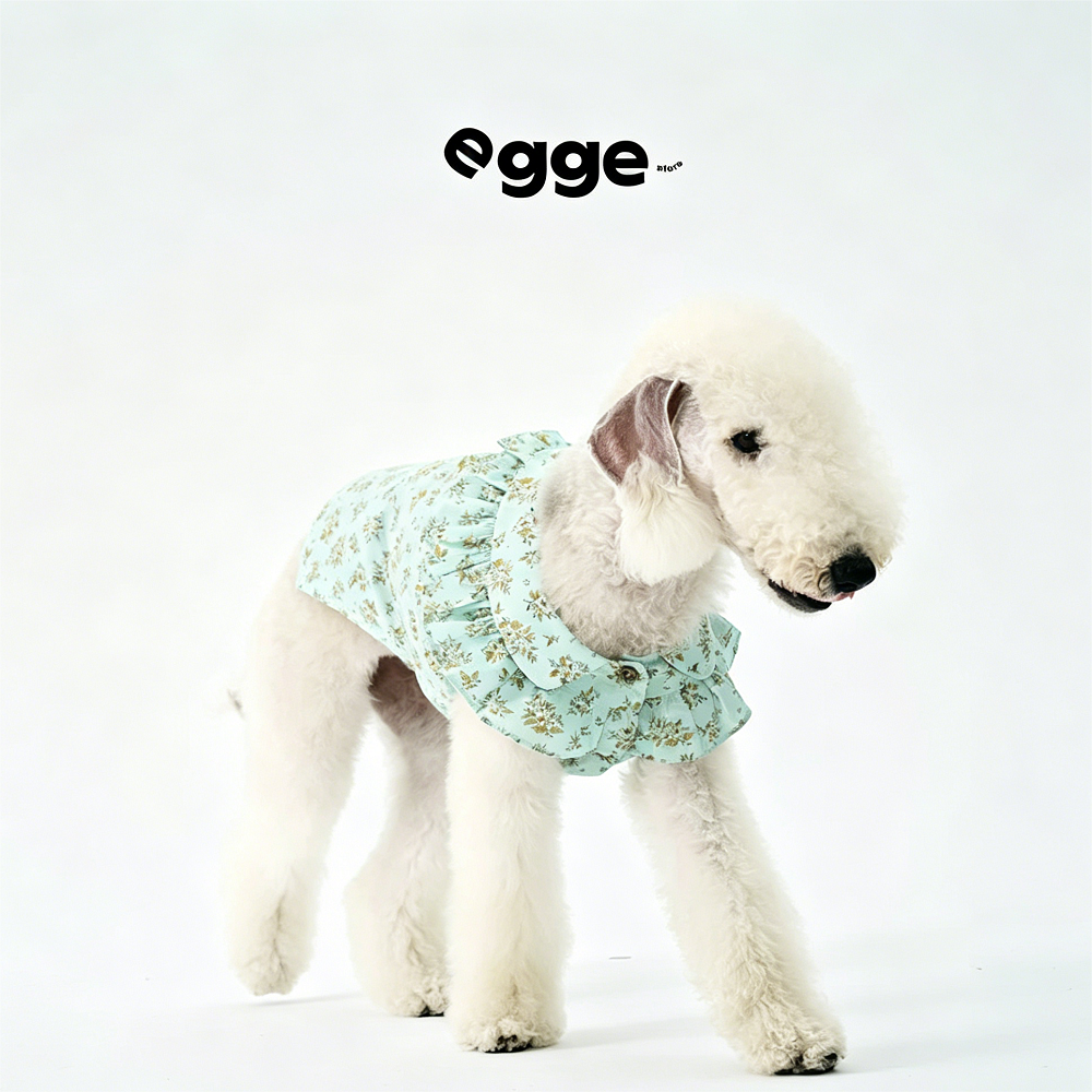 Egge Spring And Summer Sleeveless Floral Ruffle Pet Shirt