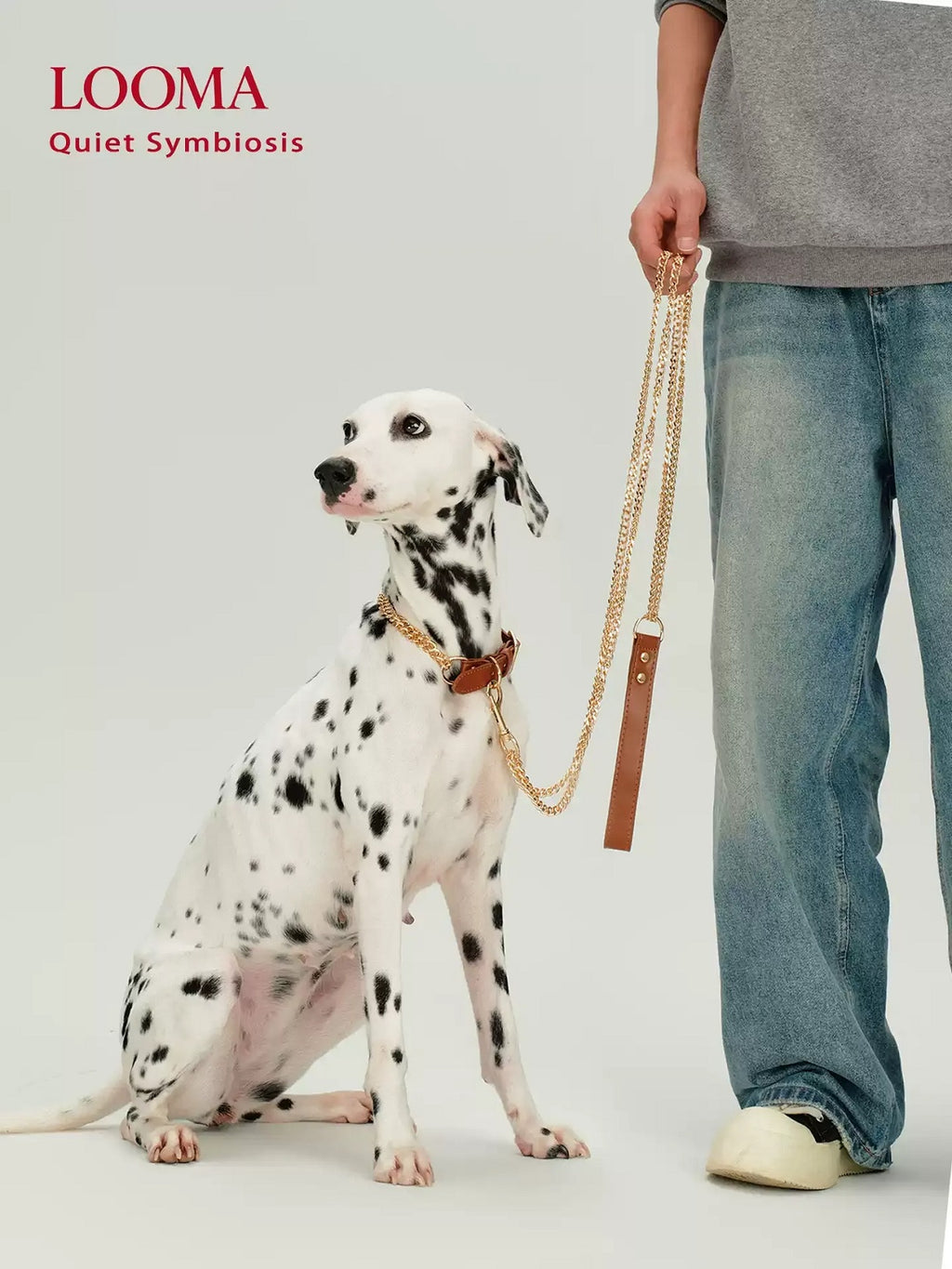 Stainless Steel Explosion-Proof Dog Leash And Collar Set