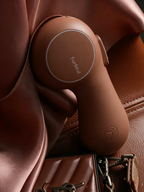 Stylish Automatic Retractable Pet Leash