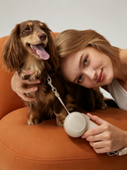 Stylish Automatic Retractable Pet Leash