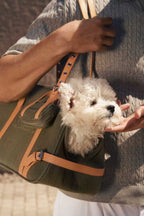 Summer New Vintage-Style Denim Pet Tote Bag