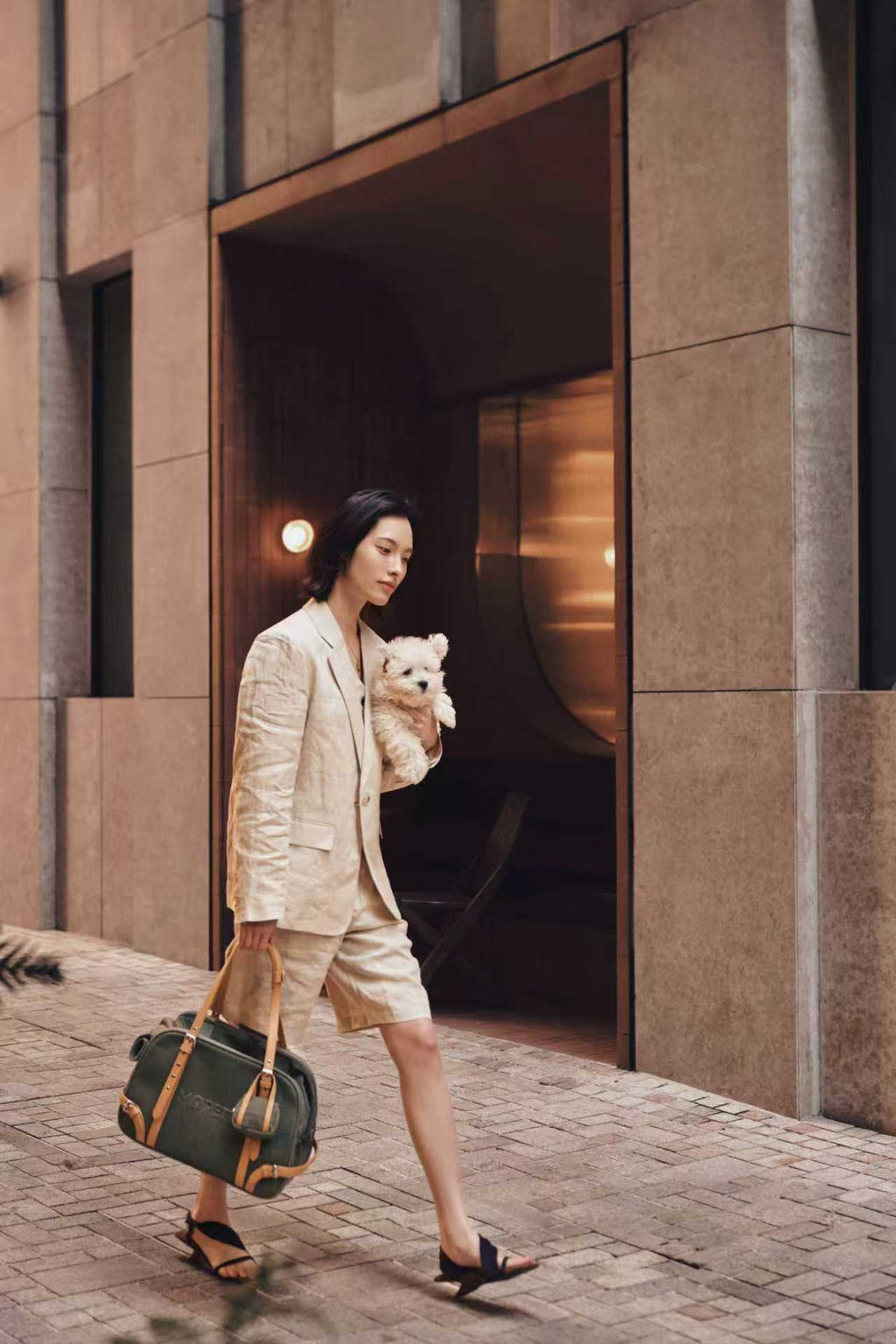 Summer New Vintage-Style Denim Pet Tote Bag