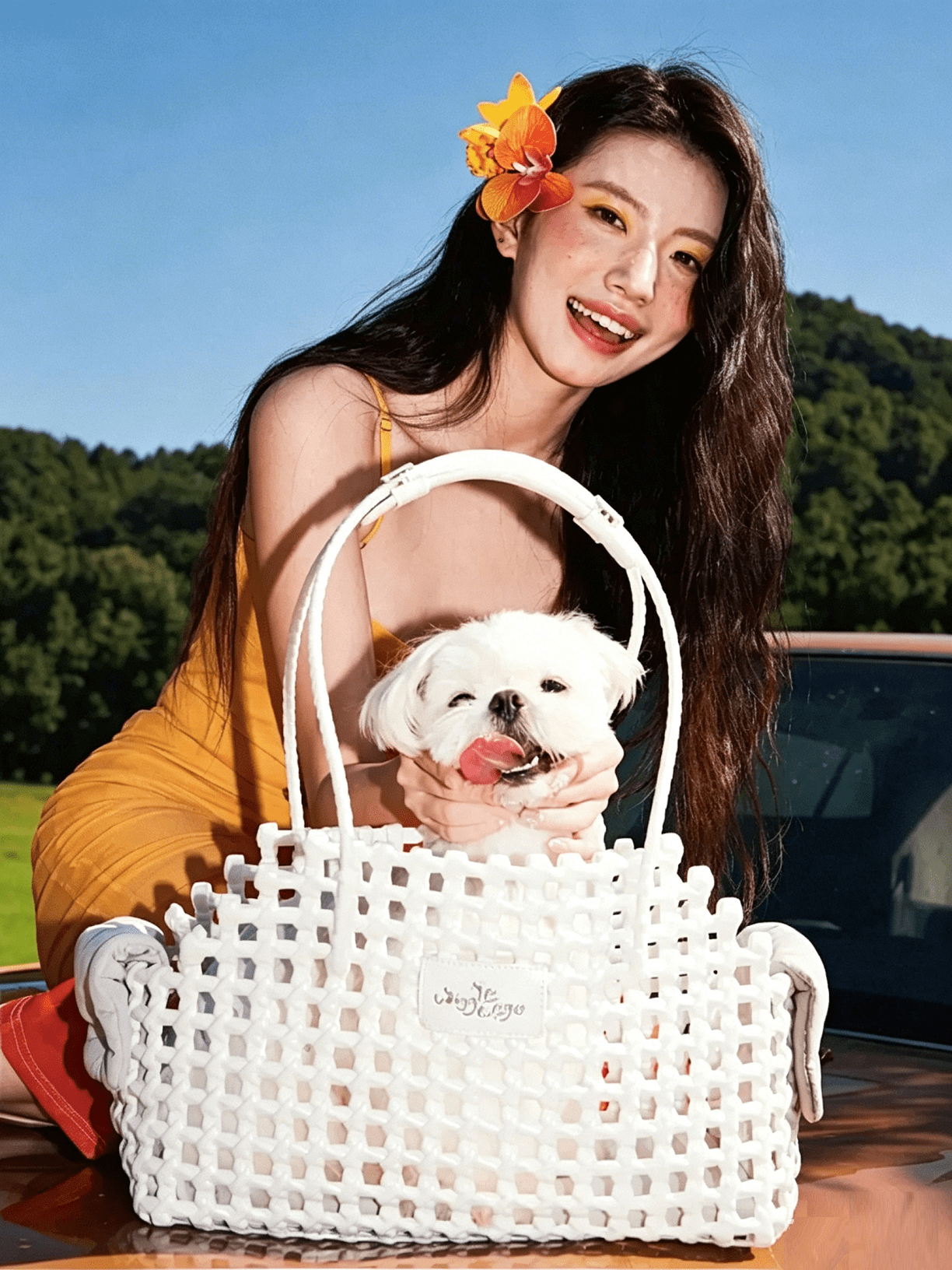 Summer Woven Pet Tote Bag