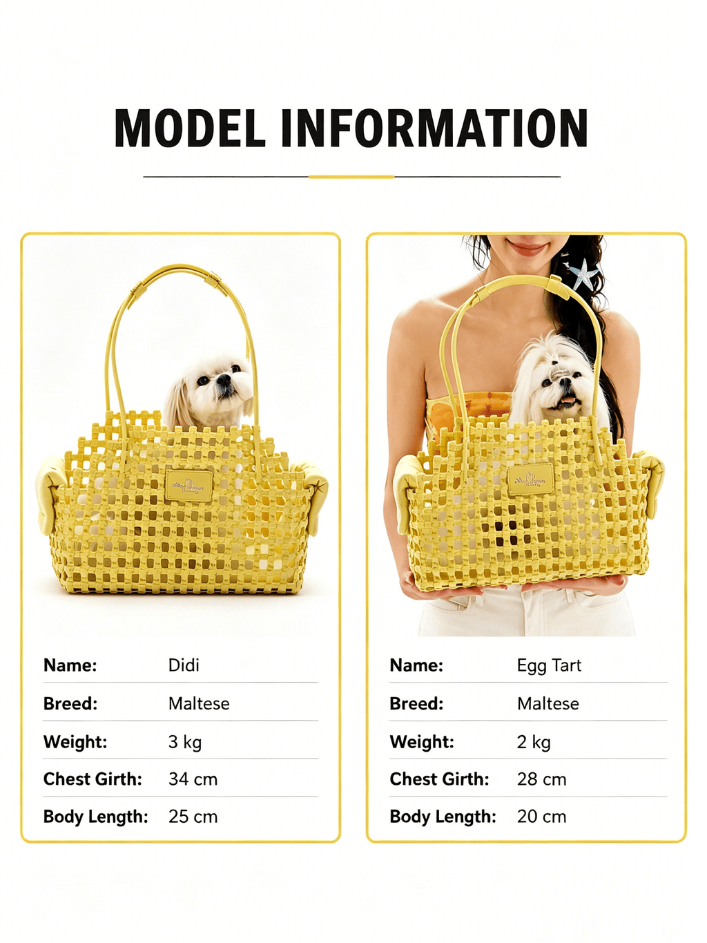 Summer Woven Pet Tote Bag