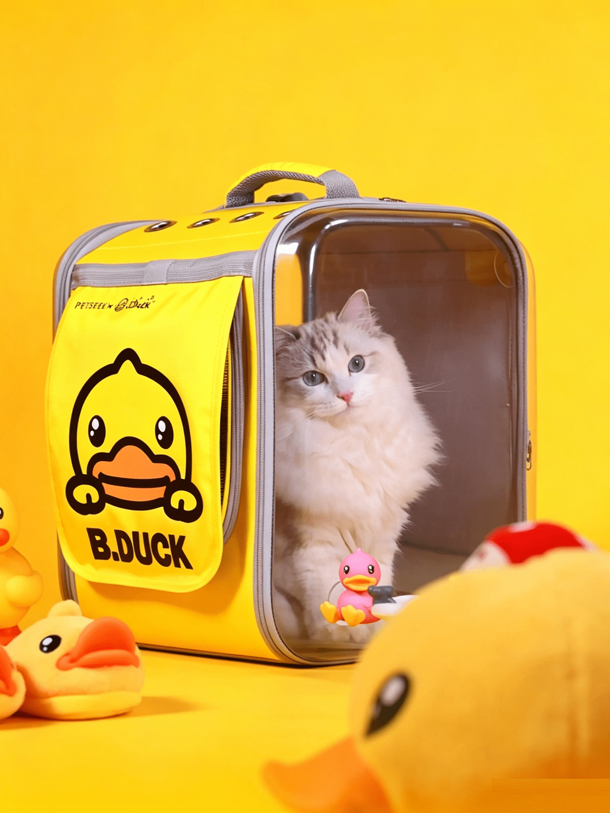 Transparent Double-Shoulder Pet Bag