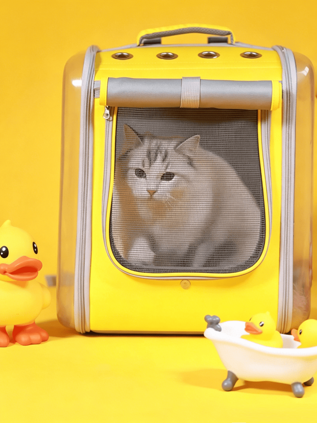 Transparent Double-Shoulder Pet Bag