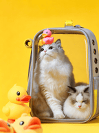 Transparent Double-Shoulder Pet Bag