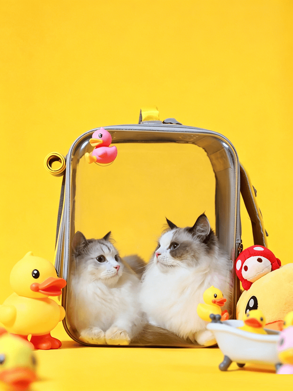 Transparent Double-Shoulder Pet Bag