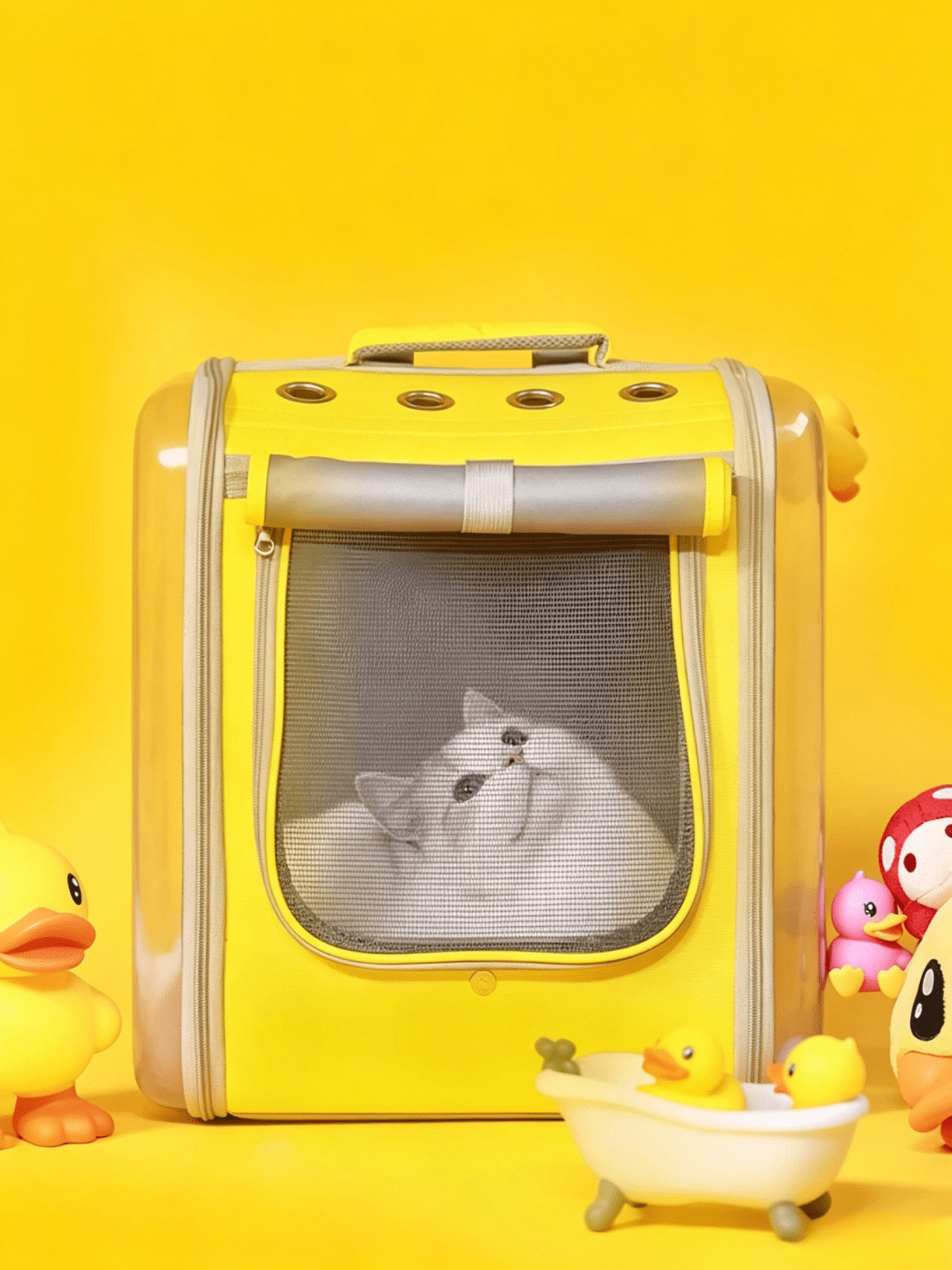 Transparent Double-Shoulder Pet Bag