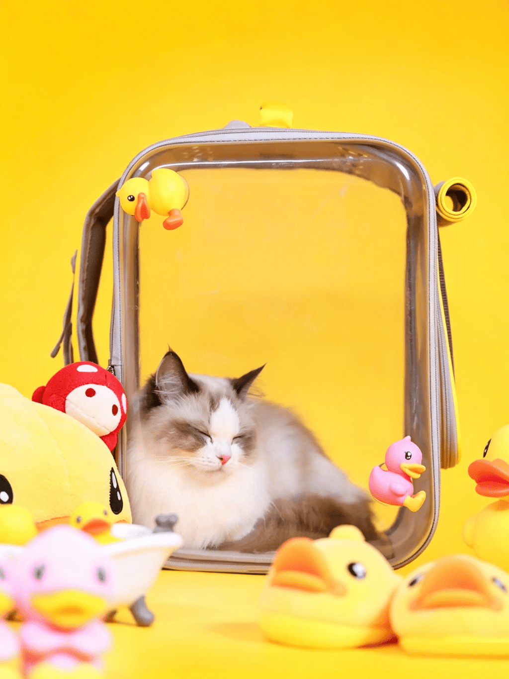 Transparent Double-Shoulder Pet Bag
