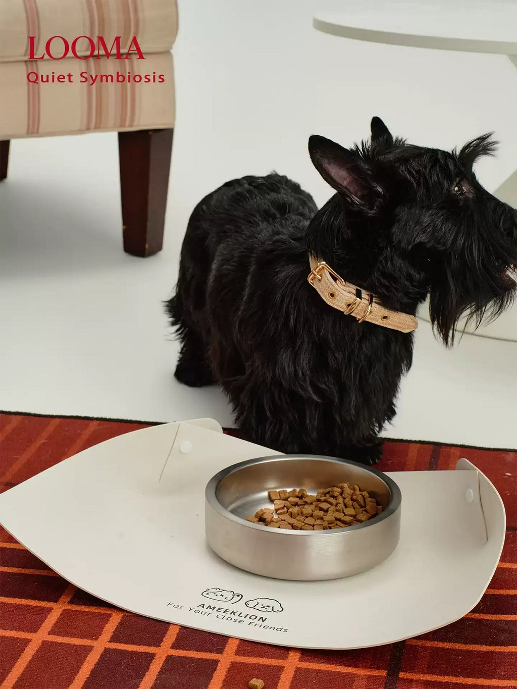 Vacuum Double-Layer Anti-Slip Stainless Steel Pet Bowl
