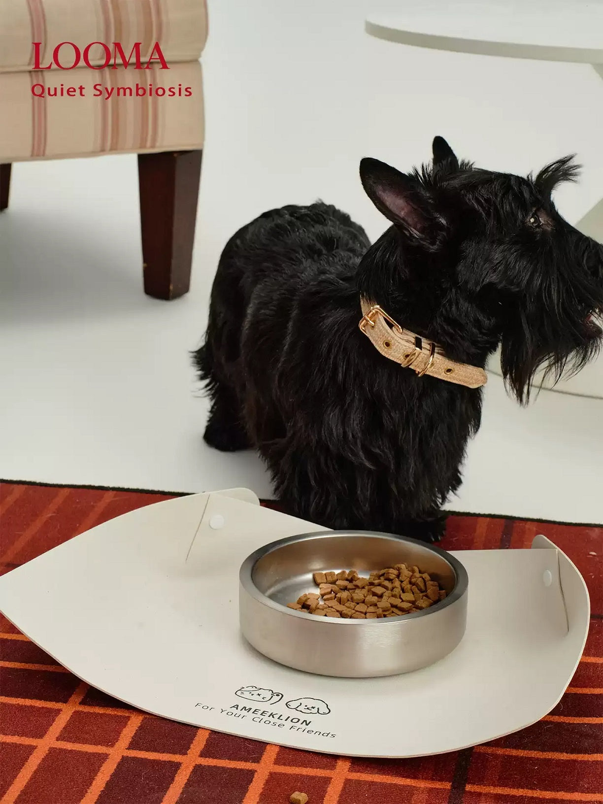 Vacuum Double-Layer Anti-Slip Stainless Steel Pet Bowl