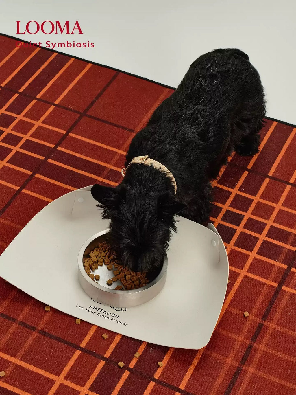 Vacuum Double-Layer Anti-Slip Stainless Steel Pet Bowl