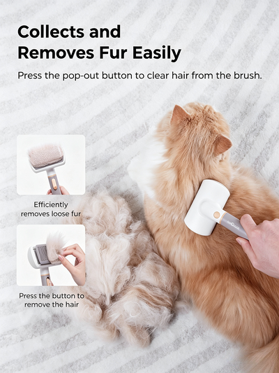 Pet Comb