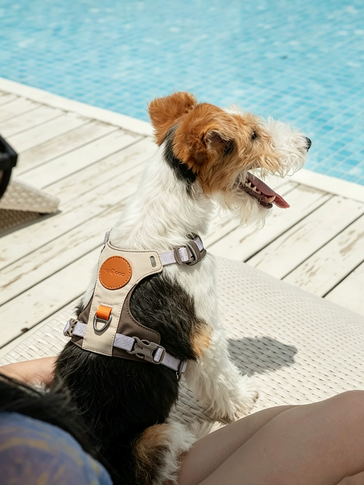 Voocoo Ultralight Quick-Dry Pet Chest and Back