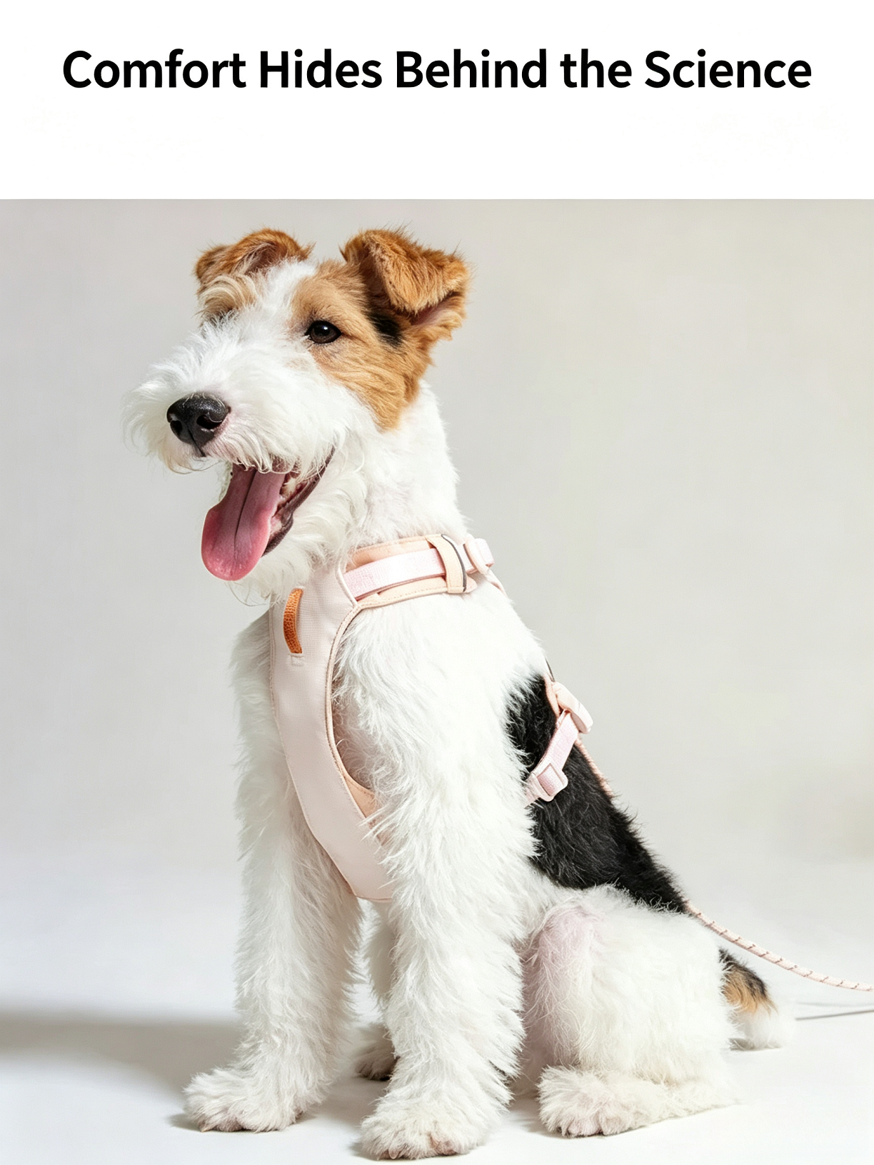 Voocoo Ultralight Quick-Dry Pet Chest and Back