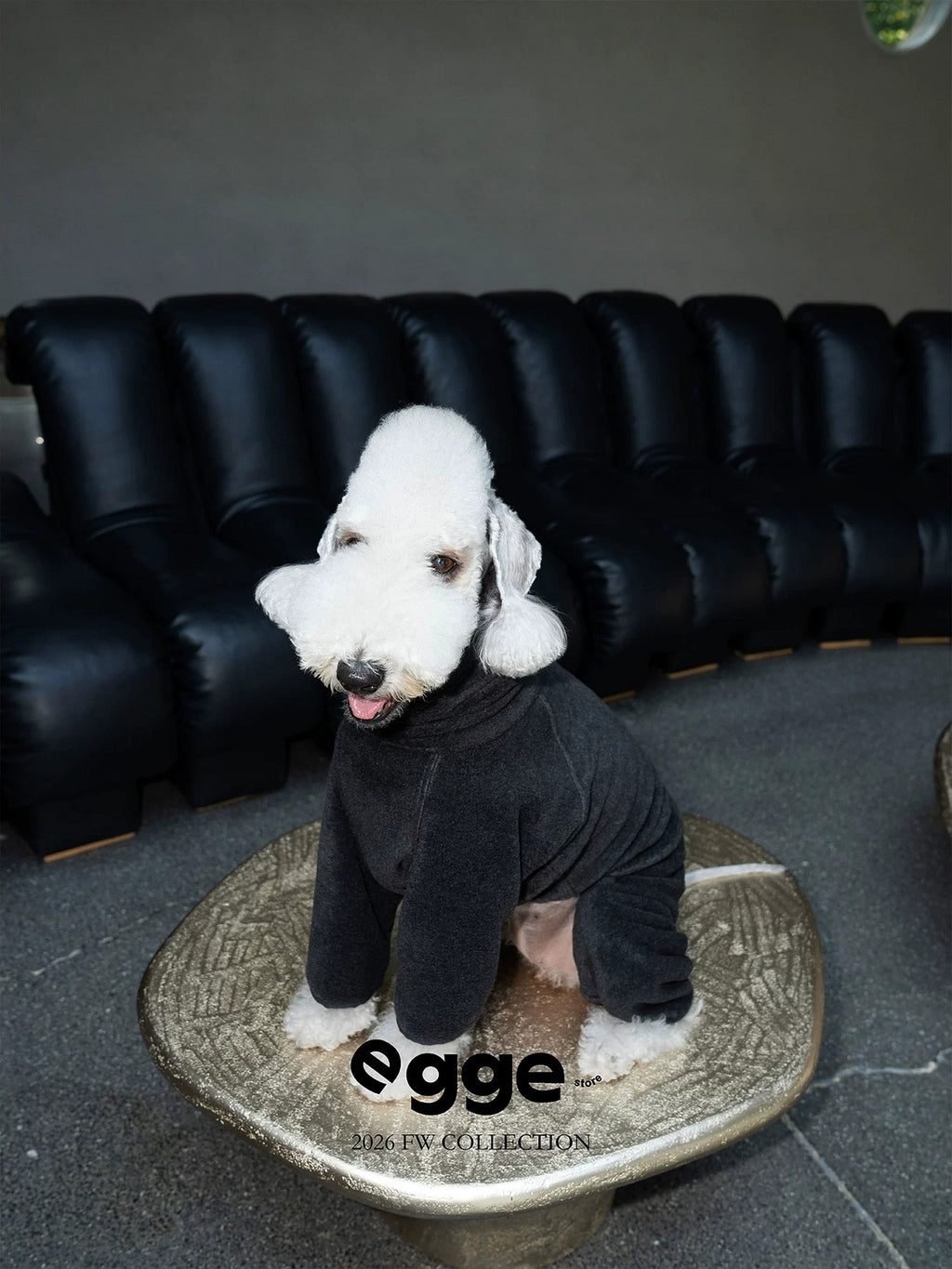 Warm And Anti-Static Dog Four-Legged Suit