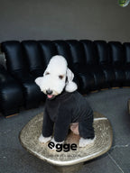 Warm And Anti-Static Dog Four-Legged Suit