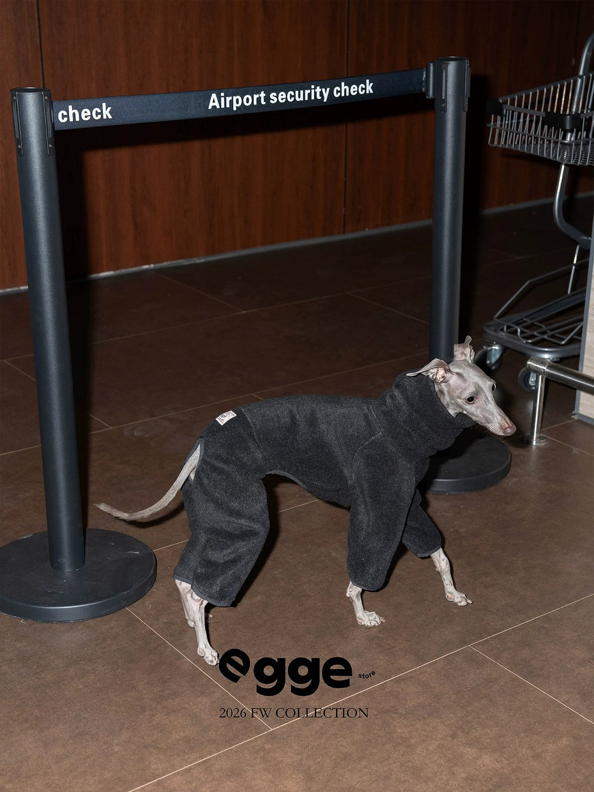 Warm And Anti-Static Dog Four-Legged Suit