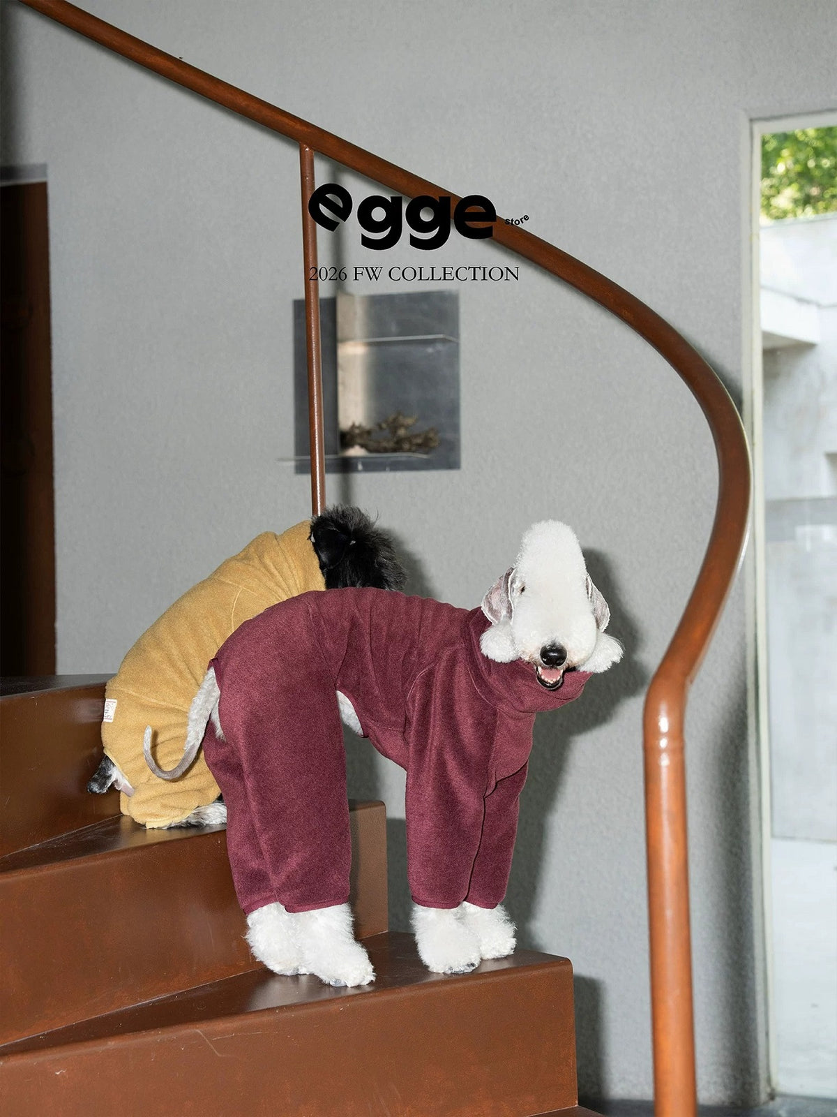 Warm And Anti-Static Dog Four-Legged Suit