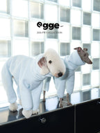 Warm And Anti-Static Dog Four-Legged Suit