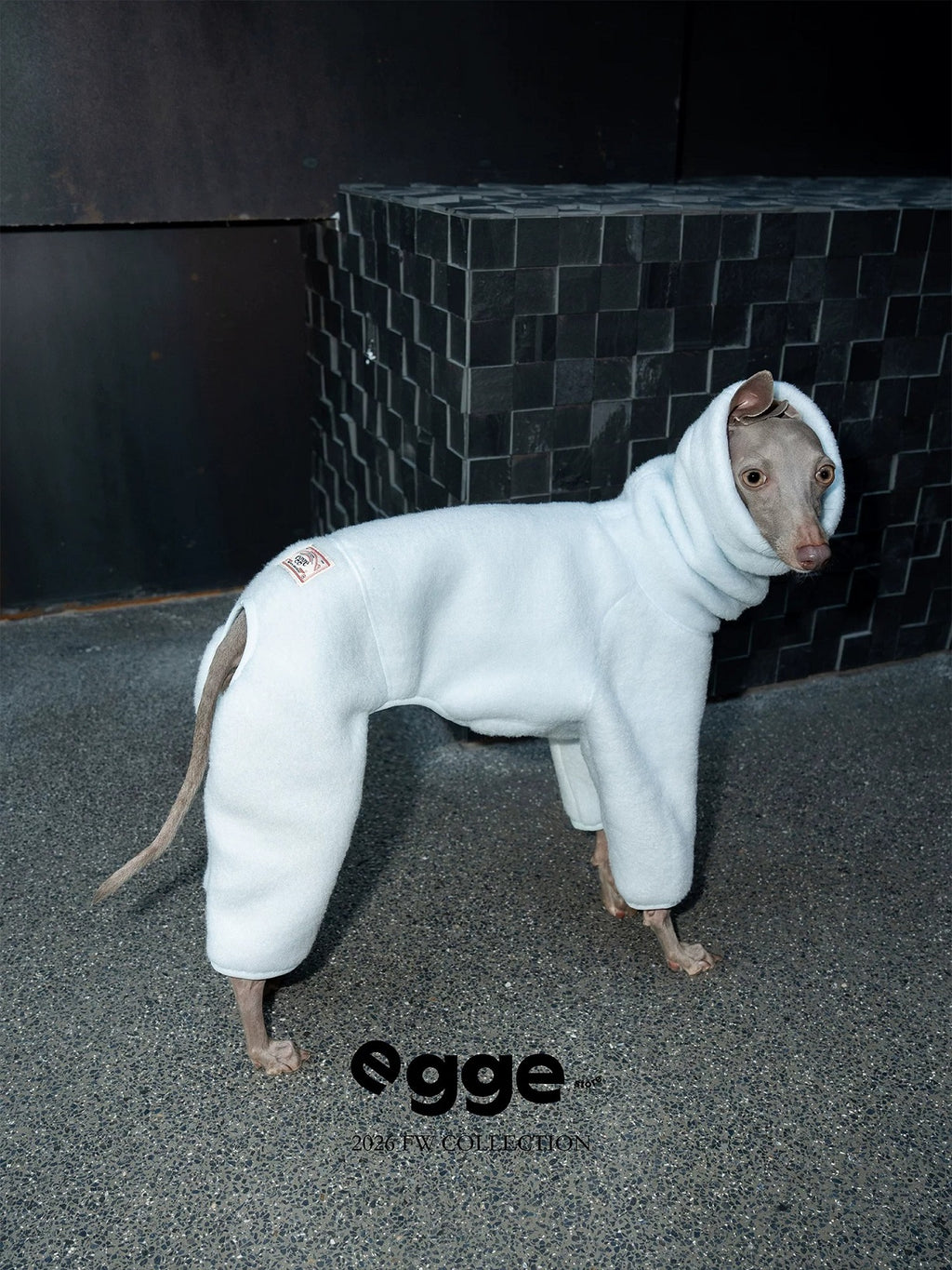 Warm And Anti-Static Dog Four-Legged Suit