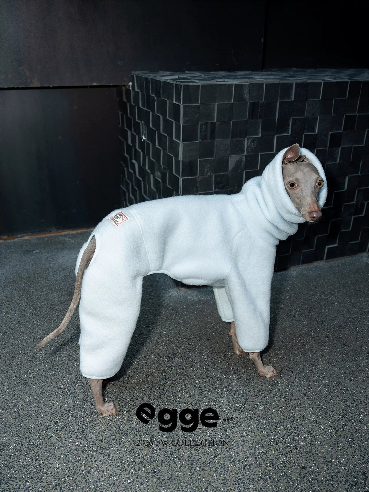 Warm And Anti-Static Dog Four-Legged Suit