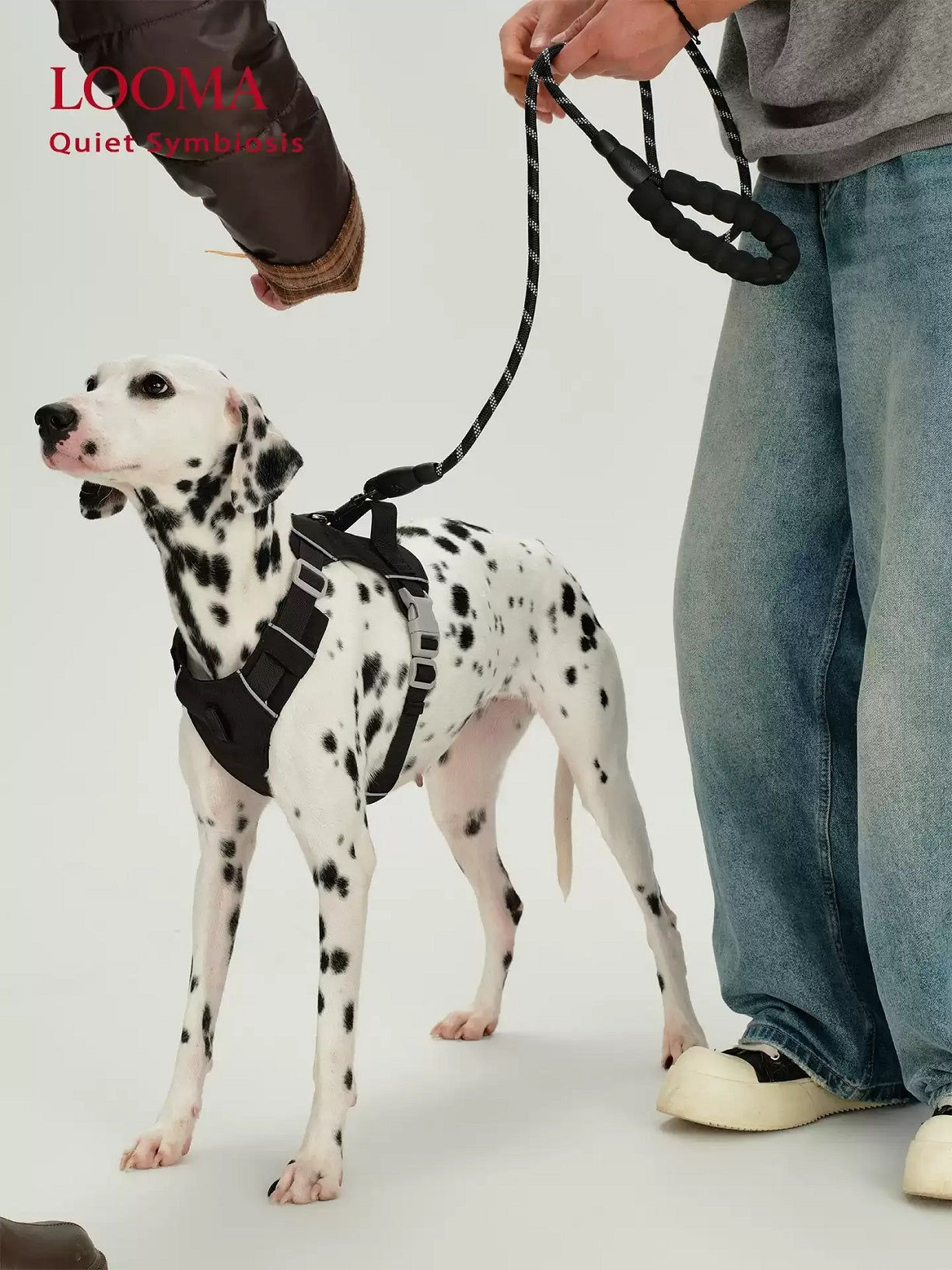 Waterproof Harness For Medium And Large Dogs