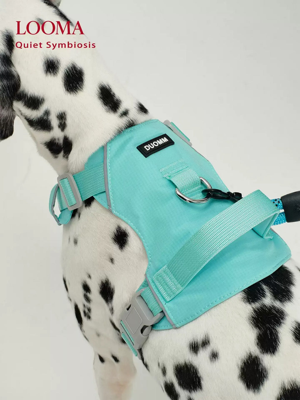 Waterproof Harness For Medium And Large Dogs