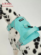Waterproof Harness For Medium And Large Dogs