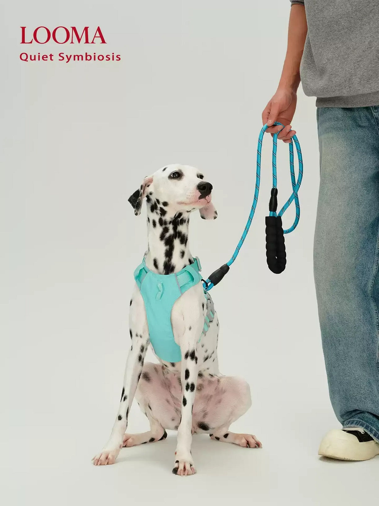 Waterproof Harness For Medium And Large Dogs
