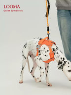 Waterproof Harness For Medium And Large Dogs