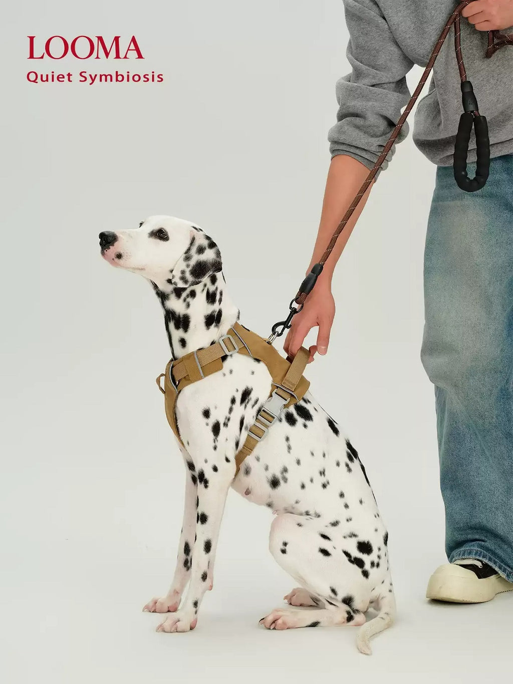 Waterproof Harness For Medium And Large Dogs