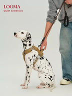 Waterproof Harness For Medium And Large Dogs