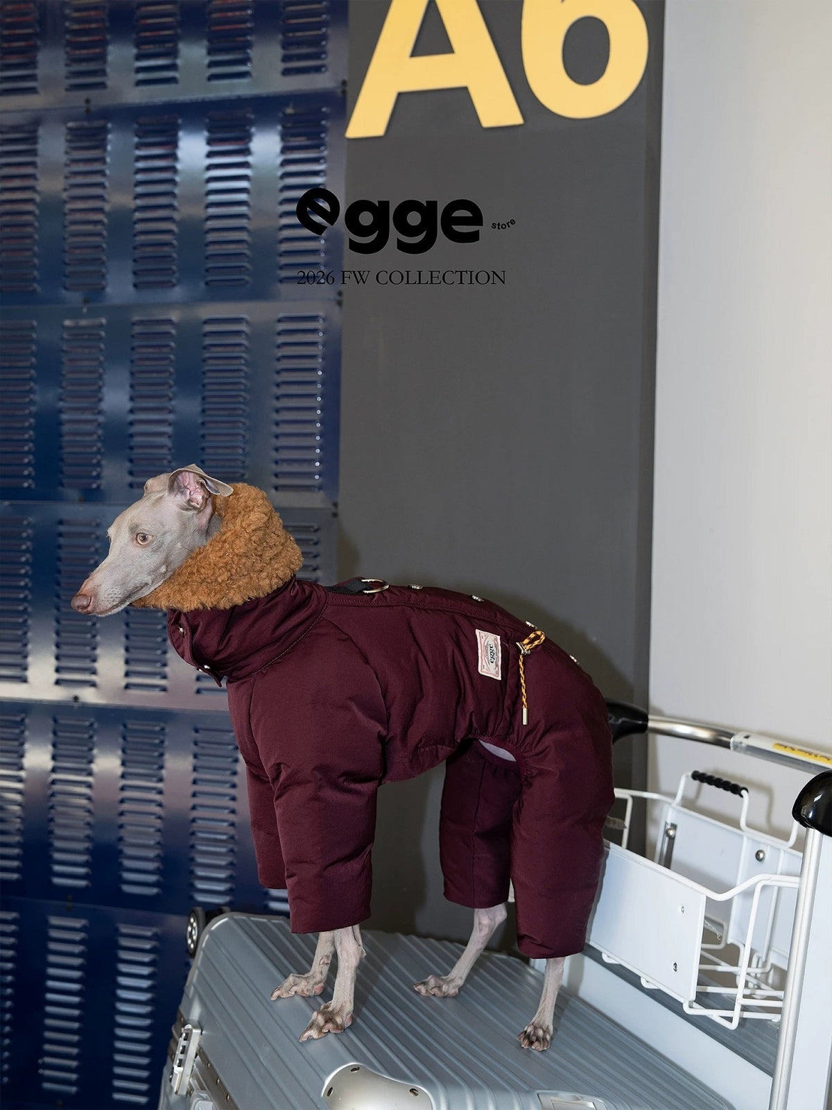 Winter Snow Line Down Jacket