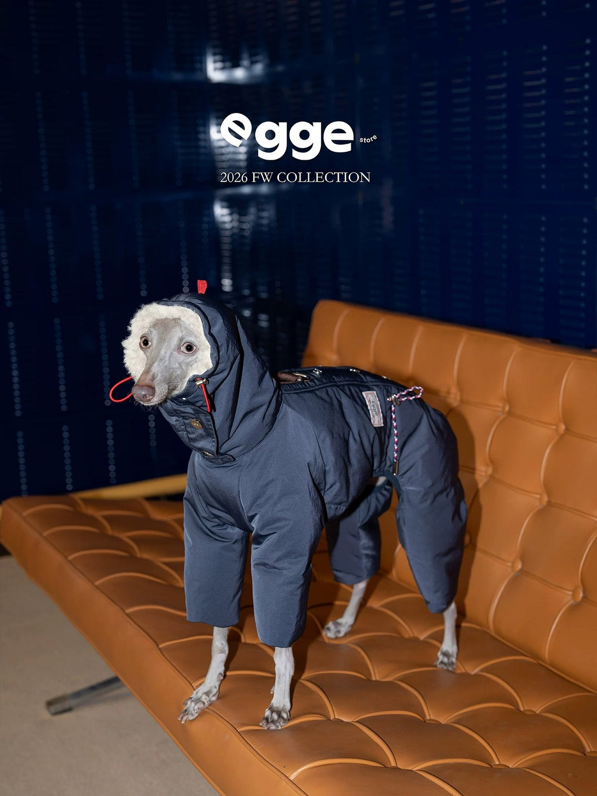 Winter Snow Line Down Jacket