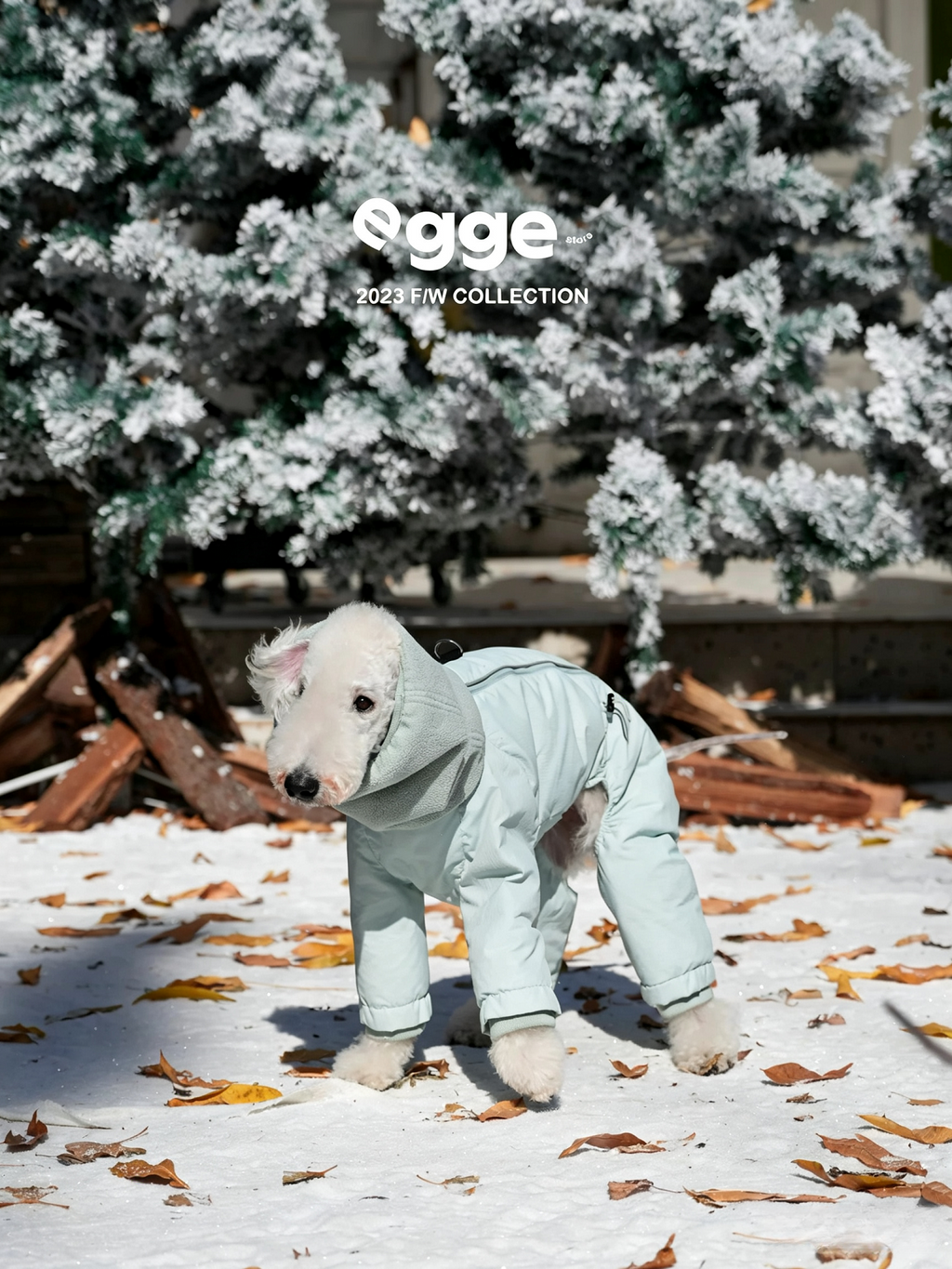 Winter Warm Down Jacket