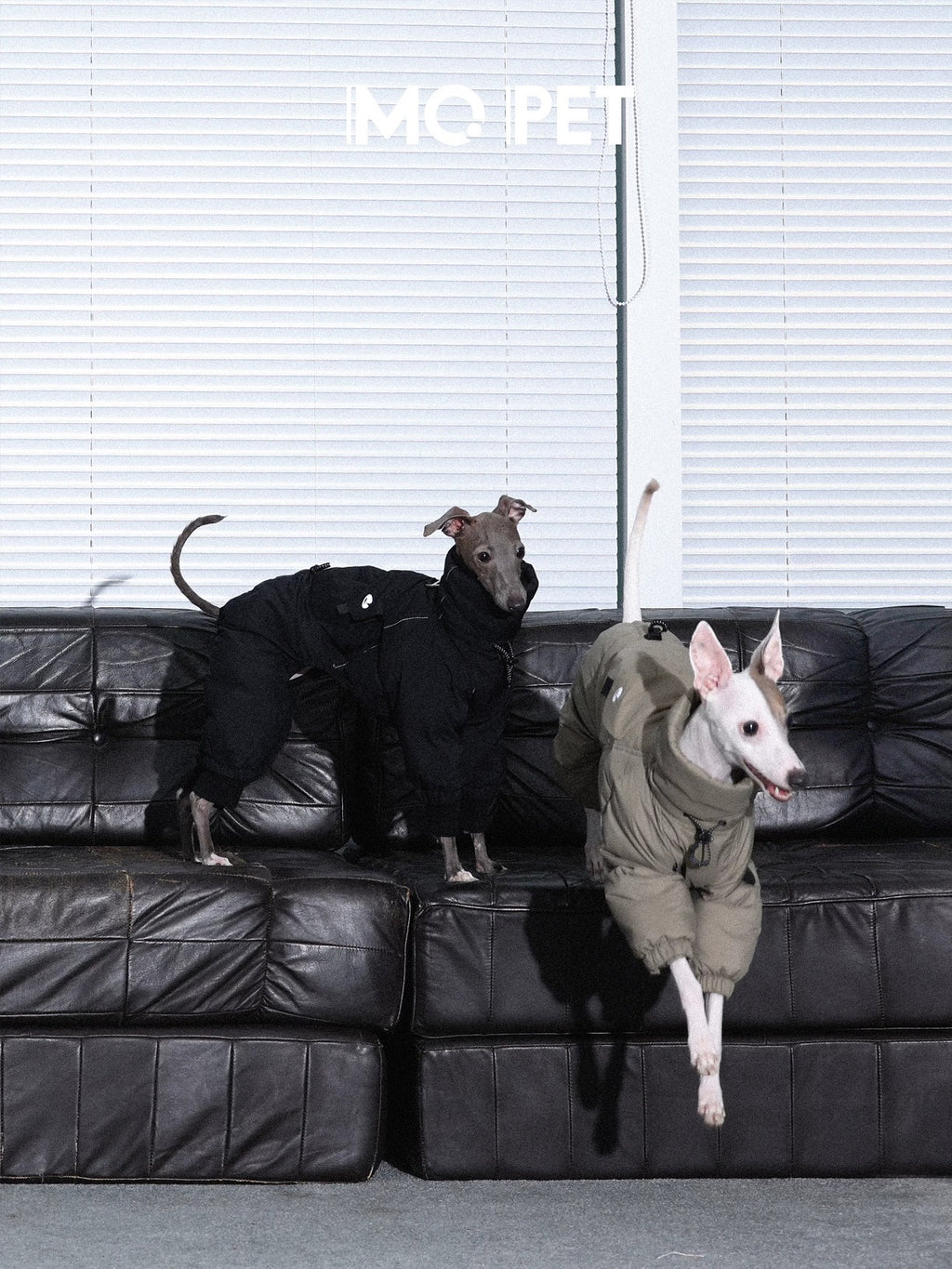 Winter Warm Three-Proof Down Jacket