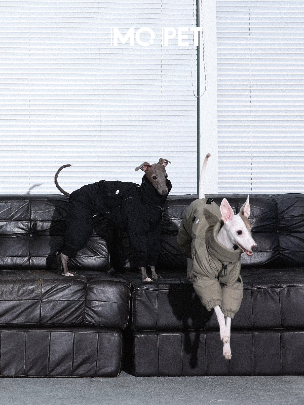 Winter Warm Three-Proof Down Jacket