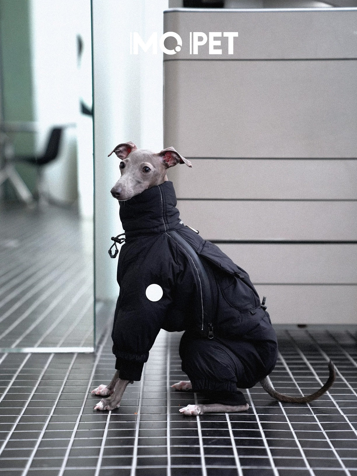 Winter Warm Three-Proof Down Jacket