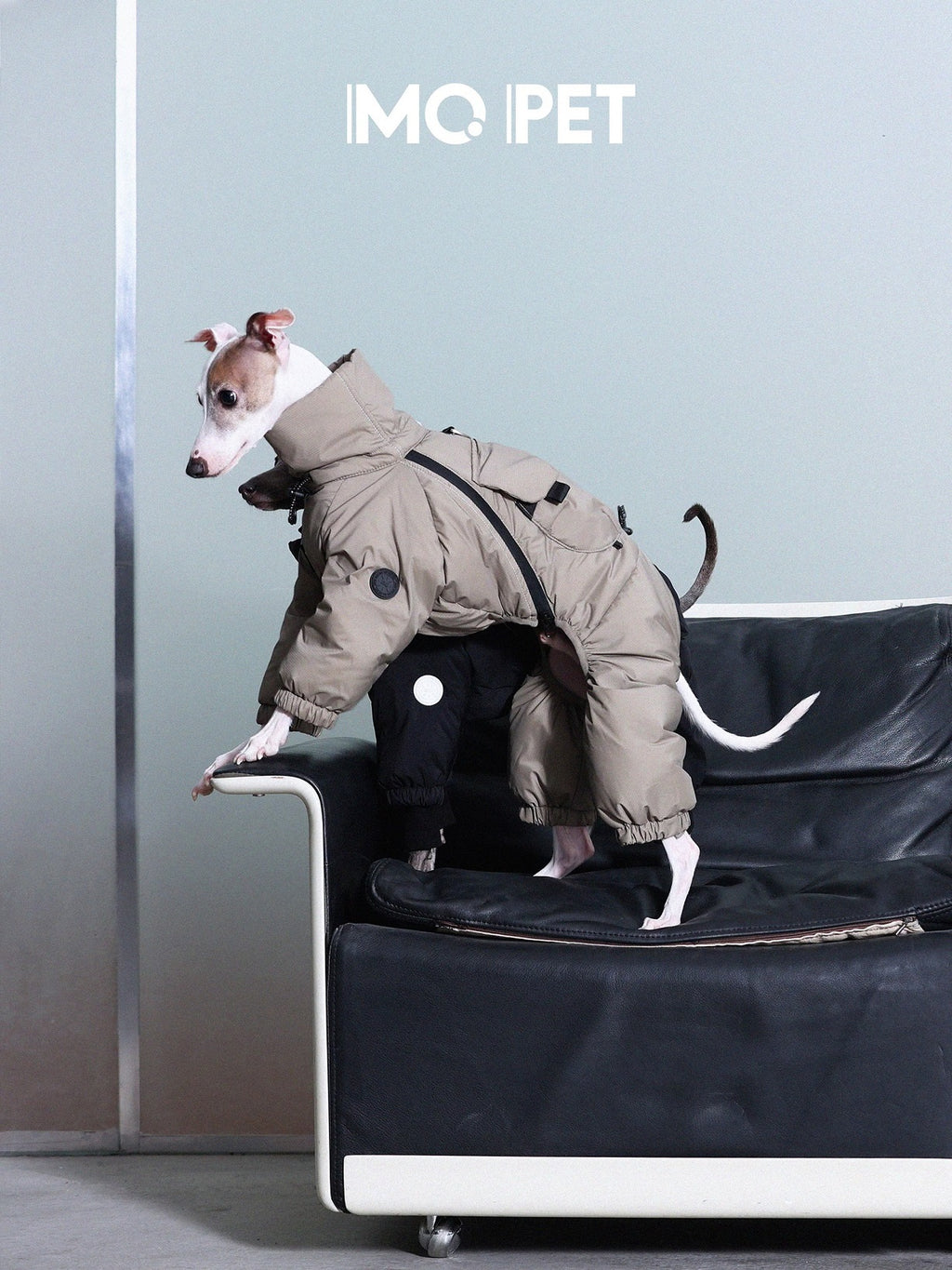 Winter Warm Three-Proof Down Jacket
