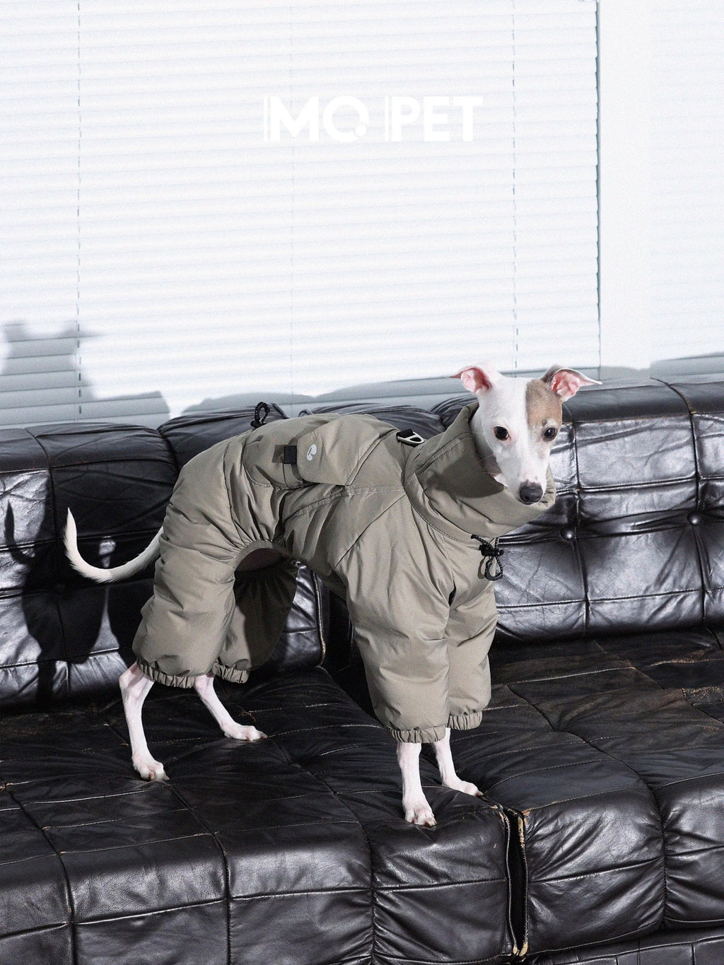 Winter Warm Three-Proof Down Jacket