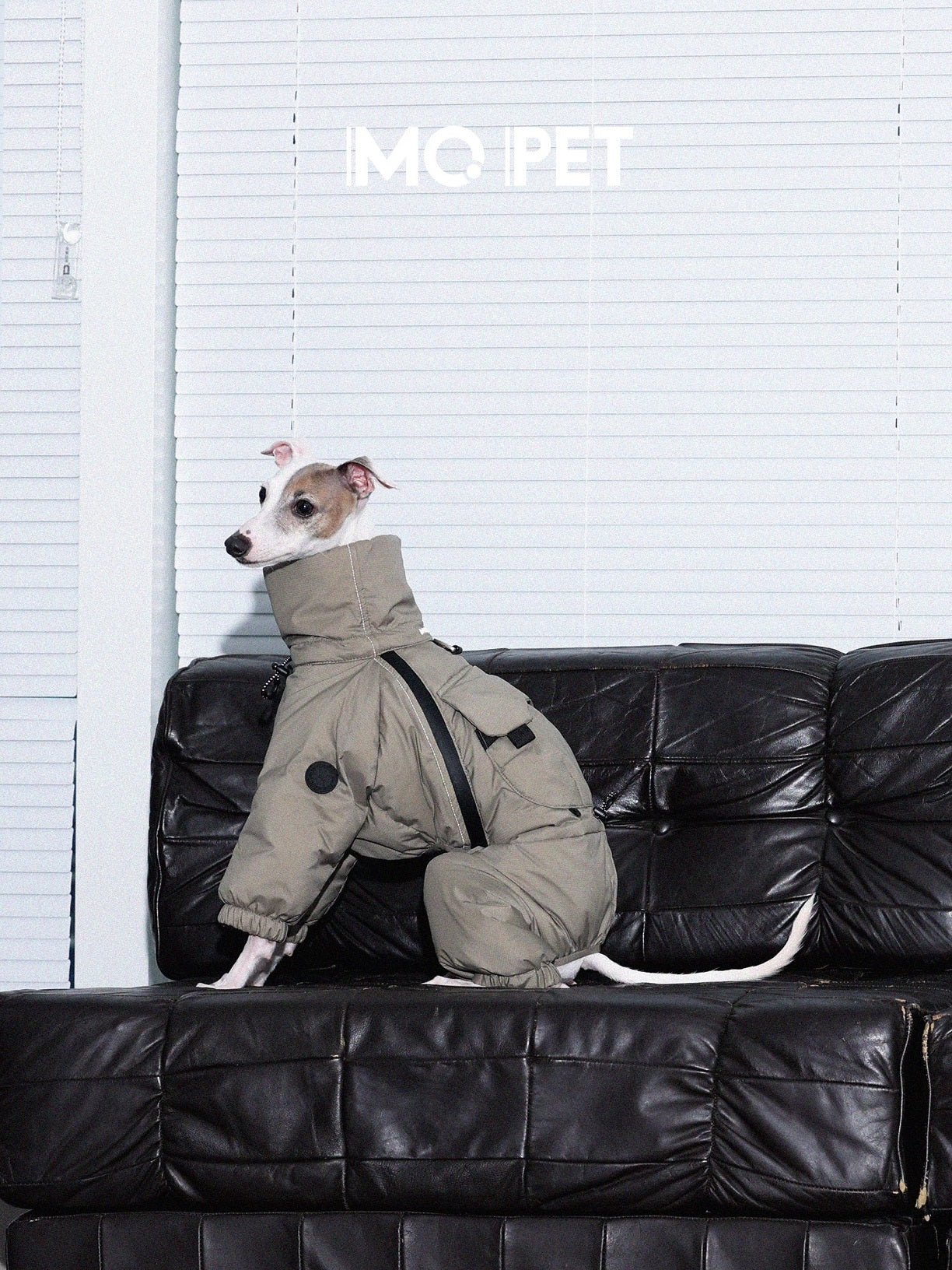 Winter Warm Three-Proof Down Jacket
